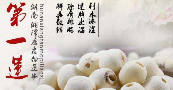 产莲子的藕是什么品种,专产莲子的品种有哪些