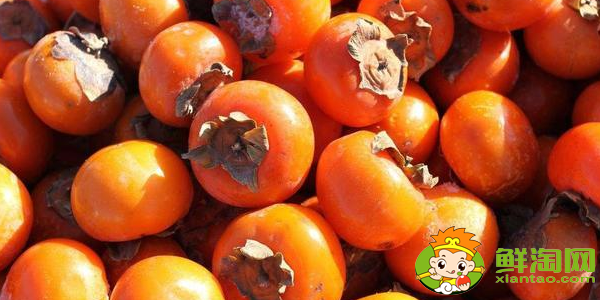 柿子的产地有哪些地方,柿子产地主要在哪个省