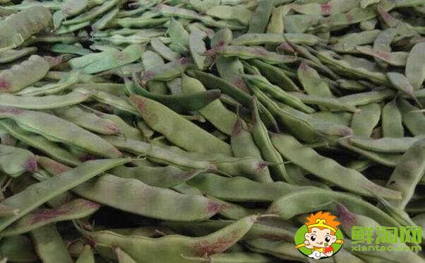 油豆角怎么冷冻保存,油豆角怎么冻冬天好吃