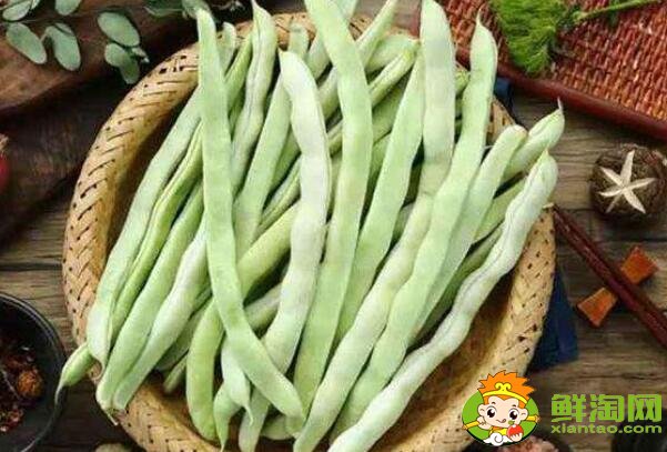 老来嫩豆角是啥,豆角为什么叫老来嫩
