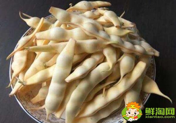 各种豆角图片和名称,适合北方种的各种豆角图片