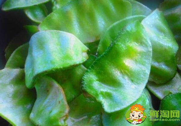 各种豆角图片和名称,适合北方种的各种豆角图片