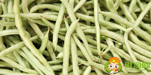 白不老豆角怎么挑选,买白不老豆角是嫩的好还是老的好