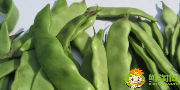 油豆角怎么挑选，油豆角怎么处理