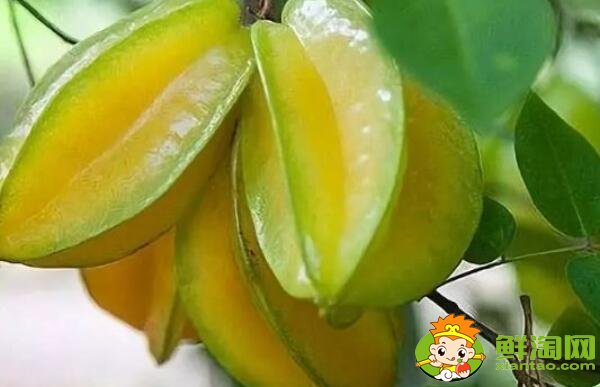 买回来的生杨桃怎么放熟,杨桃和什么放在一起熟的快