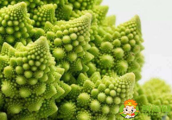 菜花有几种图片和名字,菜花的生长期是多少天