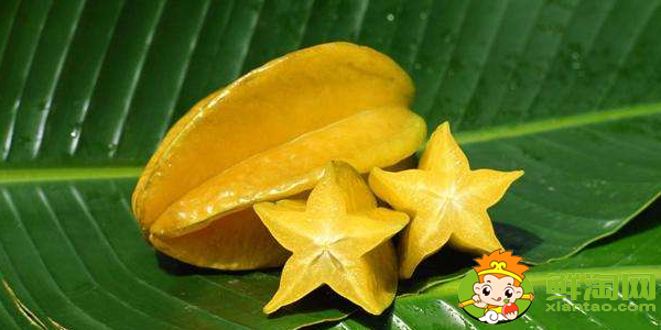 杨桃可以直接吃吗,杨桃哪里不能吃