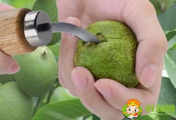 青皮核桃怎么吃,核桃去青皮用什么药