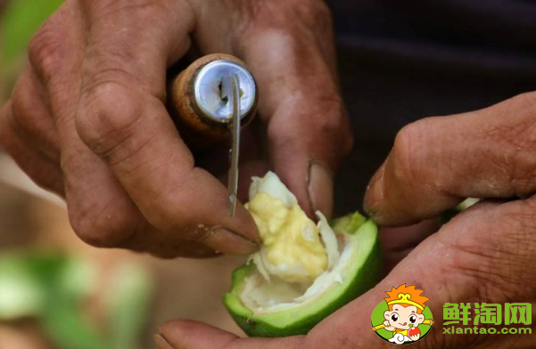 青皮核桃怎么保存,青皮核桃的保鲜期多久