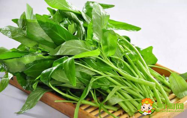 空心菜叶子可以吃吗,空心菜怎么炒不会变黑