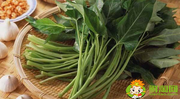 空心菜要怎么挑洗,长的空心菜怎么处理