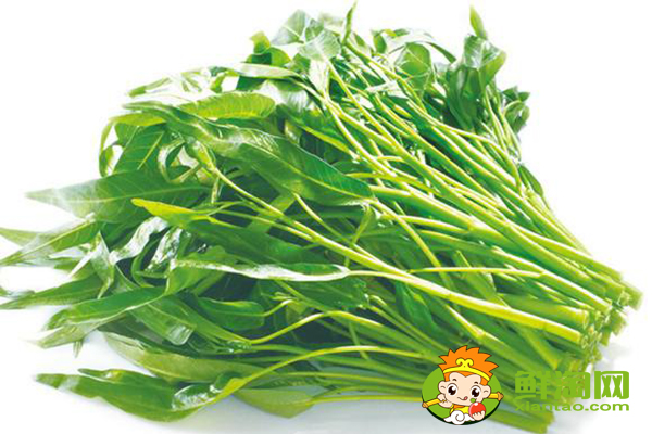 竹叶空心菜是怎样的,竹叶空心菜青梗好还是白梗好