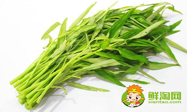 竹叶空心菜是怎样的,竹叶空心菜青梗好还是白梗好