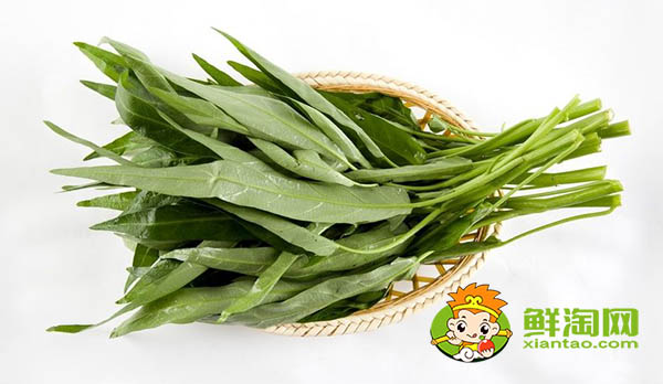 蕹菜又名什么,水雍菜和空心菜的区别