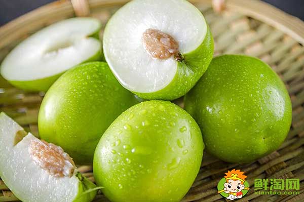 青枣适合什么地方种植,青枣产地主要在哪个省