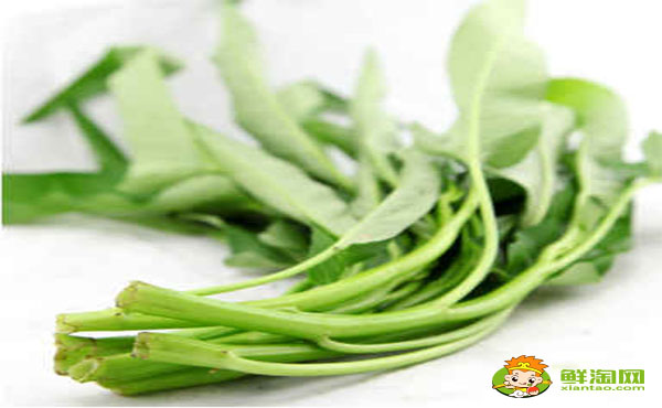 空心菜叶子要不要去掉,空心菜叶子发黄能吃吗