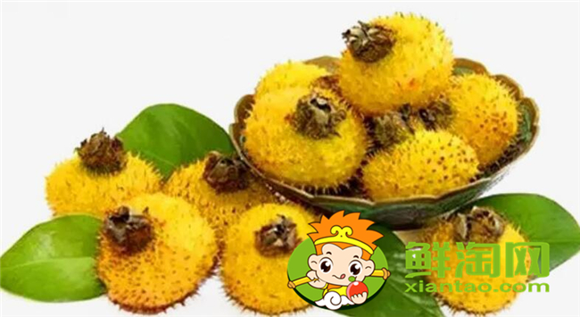 刺梨子泡酒能泡几年可以吗,刺梨子泡酒的正确方法