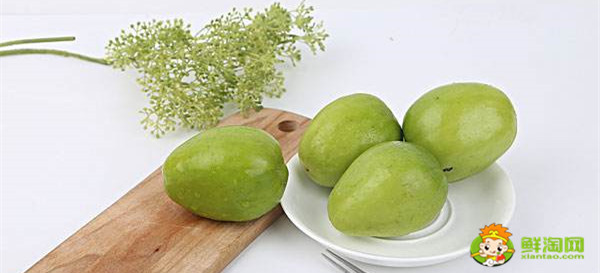 青枣和红枣是一个品种吗,台湾大青枣最新品种