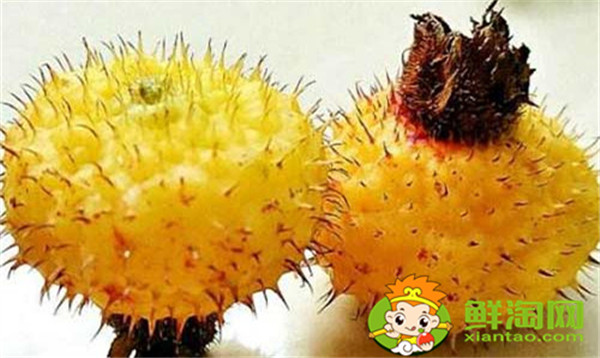 可以用新鲜刺梨泡水喝吗,刺梨泡水的制作方法