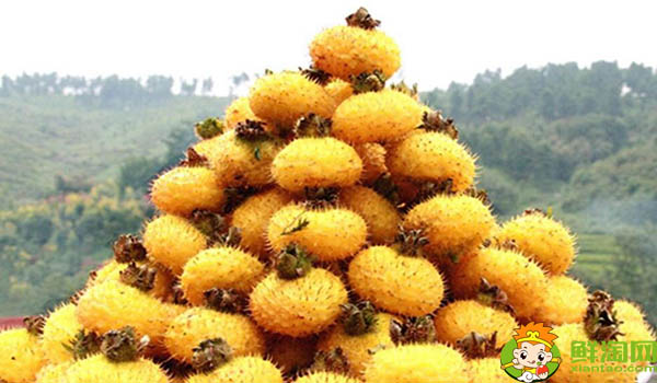 刺梨泡水可以天天喝吗,刺梨是怎样长时间保存