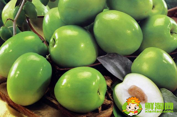 青枣是哪个地方产的,全国青枣哪个地方最多