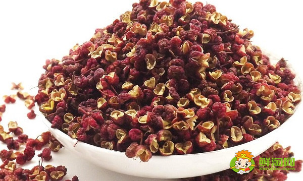 野花椒可以吃吗,野花椒和家花椒的区别