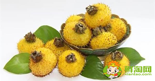 刺梨干多少钱一斤,干刺梨的保质期多长