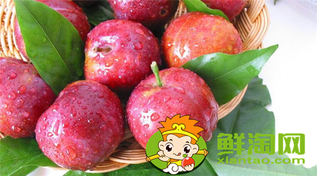 黑布林有红肉吗，黑布林和红布林哪个甜