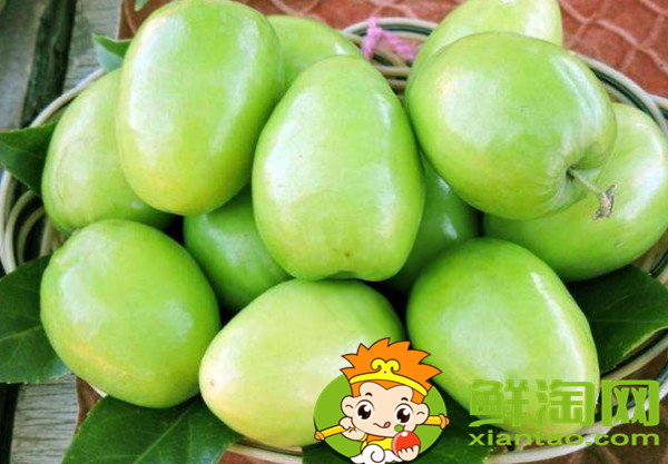 青枣一天吃几颗最好,青枣吃多了有什么坏处