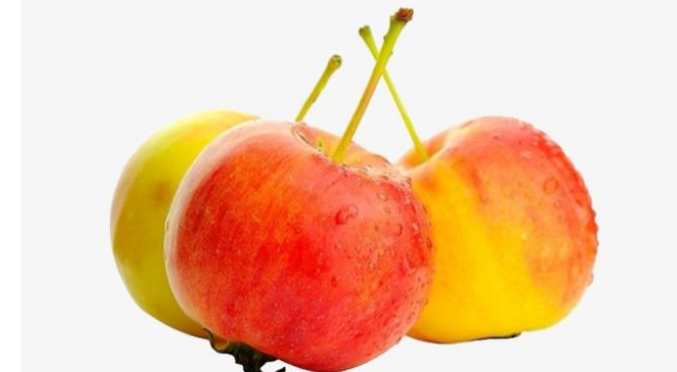 东北沙果产地在哪里,东北沙果品种有哪些