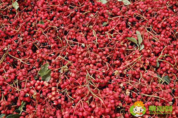 花椒叶有刺吗,无刺花椒和有刺花椒那个产量高