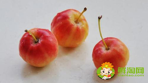 海棠果没熟青果怎样吃,沙果哪个地方的好吃