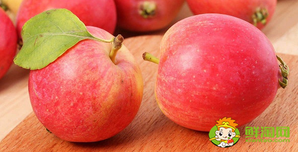 沙果多少钱一斤,沙果都有什么品种