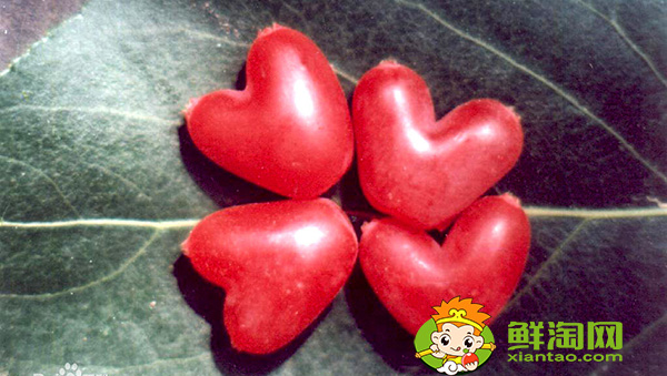 杈杷果多少钱一斤,杈杷果能深加工吗