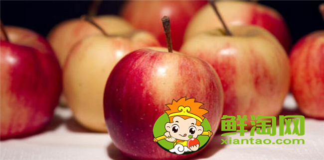 沙果是什么季节的水果,沙果属于苹果吗