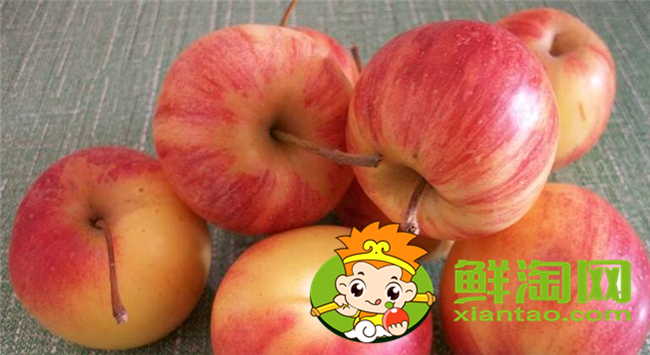 沙果是海棠果吗,海棠果和沙果的区别