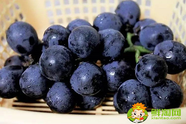 灯笼果是什么样的,灯笼果和黑加仑的区别