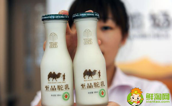 喝骆驼奶有什么好处,喝骆驼奶真的能长寿吗