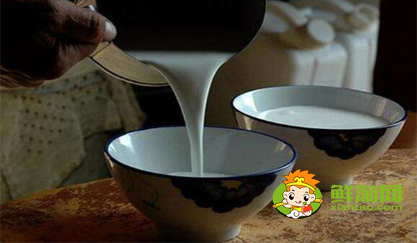 骆驼奶怎么喝,骆驼奶的正确食用方法