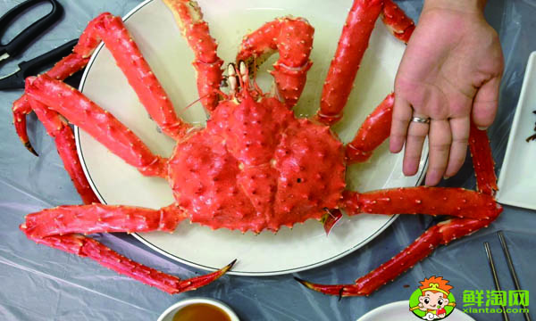 市面上的帝王蟹是哪里产的,帝王蟹哪里产地最好