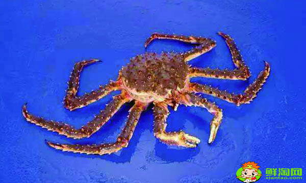 蓝色帝王蟹是不是假的,都用什么冒充帝王蟹