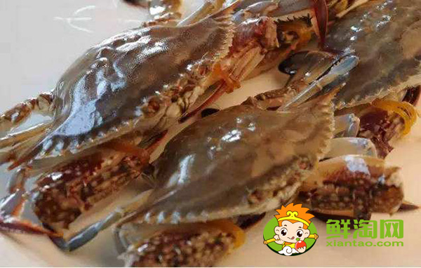 梭子蟹是淡水还是海水里的,为什么梭子蟹用海水也养不活呢