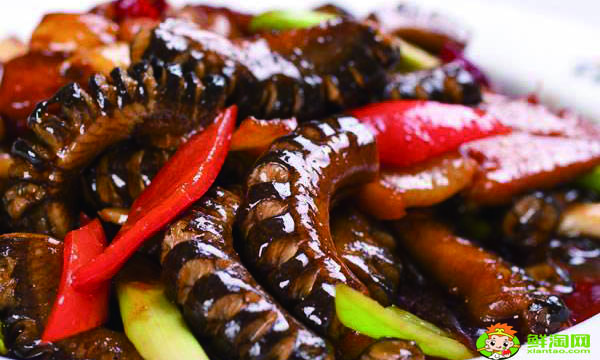 人工养殖黄鳝最佳饵料是什么,人工养殖黄鳝的时间周期是多久