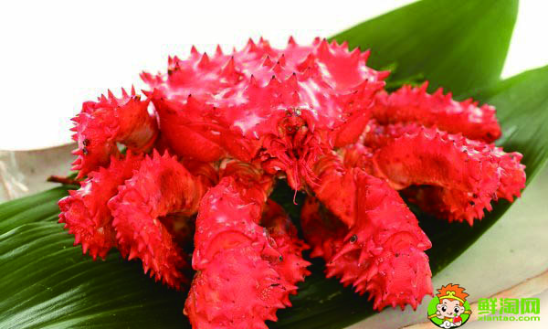 阿拉斯加帝王蟹和俄罗斯帝王蟹的区别,阿拉斯加帝王蟹和俄罗斯帝王蟹哪个好