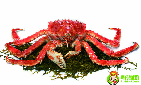 阿拉斯加帝王蟹产地,帝王蟹哪里产地最贵