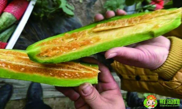 羊角蜜甜瓜是凉性的吗，羊角蜜哪些人不能吃