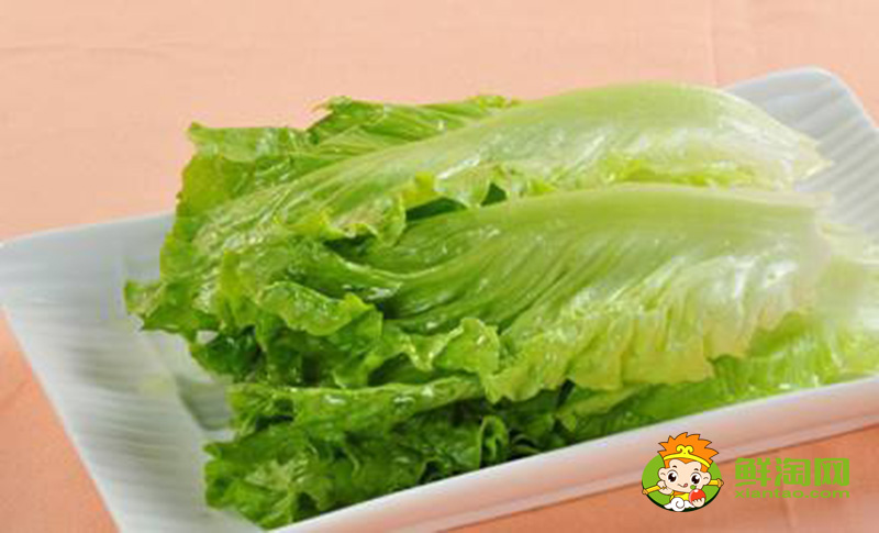 生菜的样子，结球生菜和生菜的区别