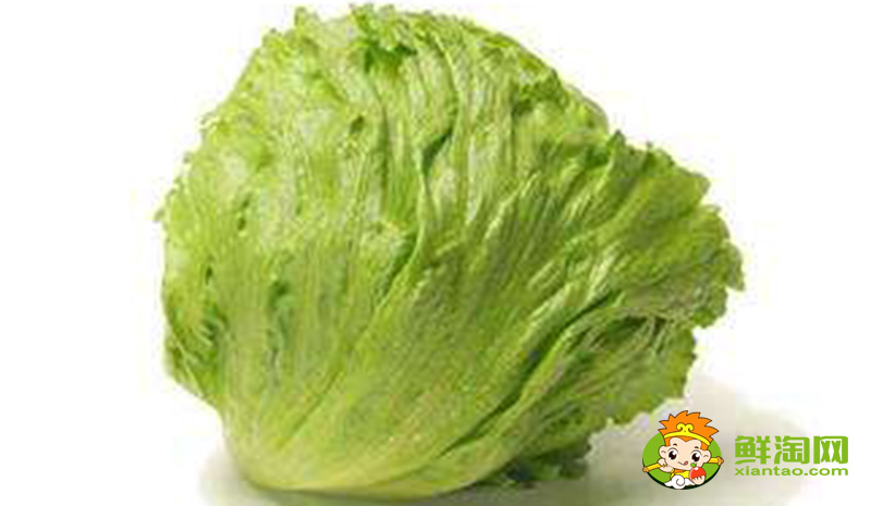 生菜的样子，结球生菜和生菜的区别