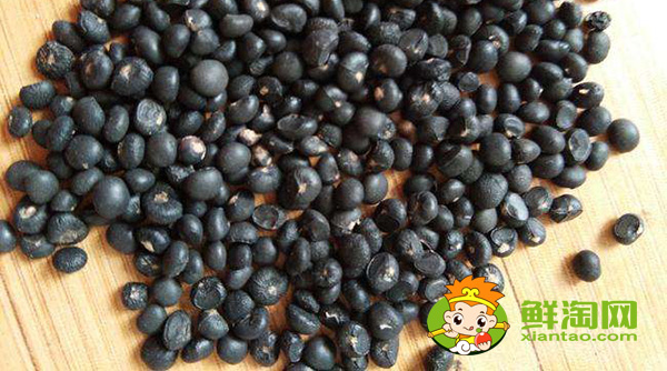 芦笋种子那里有卖,芦笋种子多少钱一斤