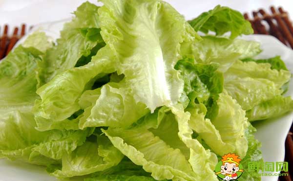 生菜怎么割还会长,生菜品种大全